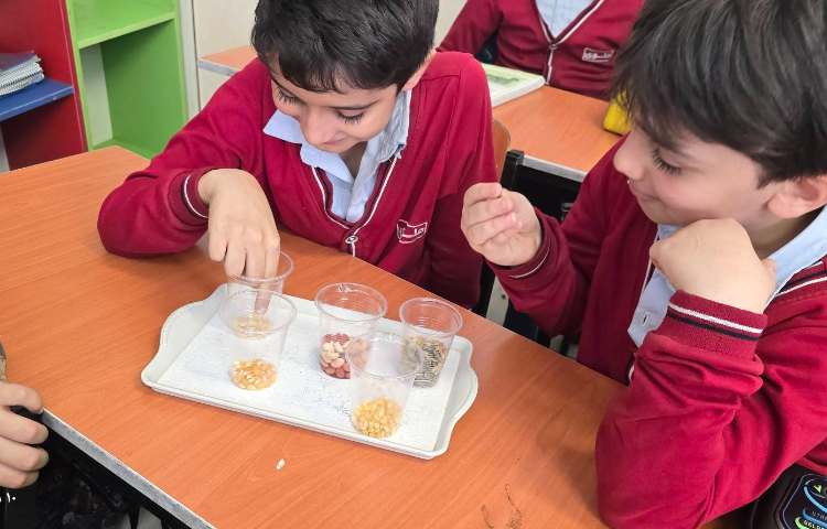 علوم - مبحث: کاشت دانه و آشنایی با اجزای یک گیاه 3