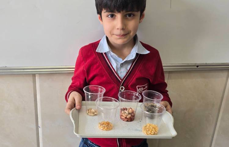 علوم - مبحث: کاشت دانه و آشنایی با اجزای یک گیاه 4