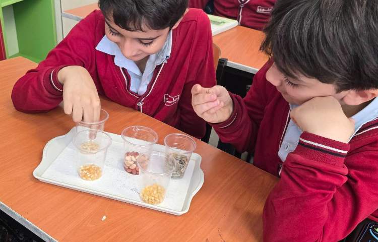 علوم - مبحث: کاشت دانه و آشنایی با اجزای یک گیاه 5