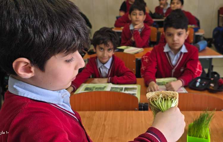 علوم - مبحث: کاشت دانه و آشنایی با اجزای یک گیاه 6