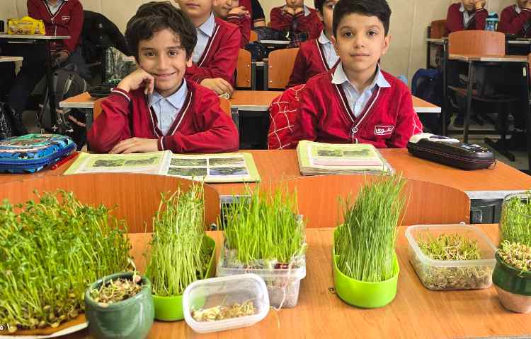 علوم - مبحث: کاشت دانه و آشنایی با اجزای یک گیاه 7