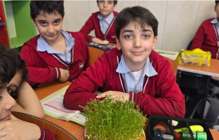 علوم - مبحث: کاشت دانه و آشنایی با اجزای یک گیاه 8