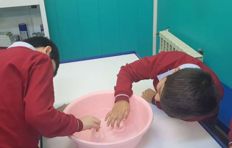 علوم مبحث گازها