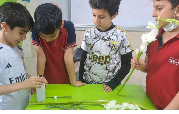 علوم مبحث گیاهان آزمایش و پرسش 1