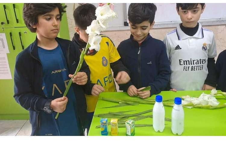 علوم مبحث گیاهان آزمایش و پرسش 2