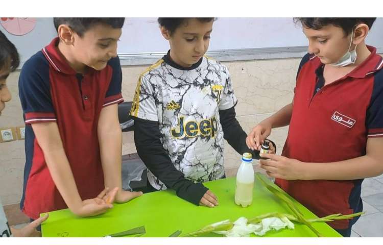 علوم مبحث گیاهان آزمایش و پرسش 3