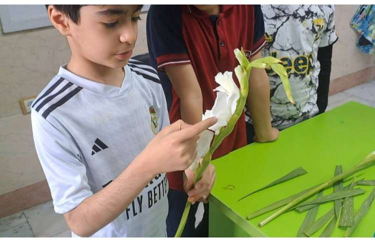 علوم مبحث گیاهان آزمایش و پرسش 5