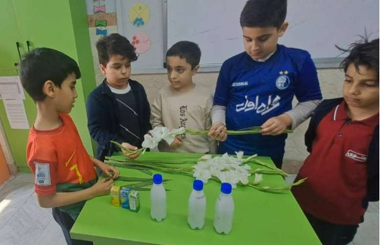 علوم مبحث گیاهان آزمایش و پرسش 6