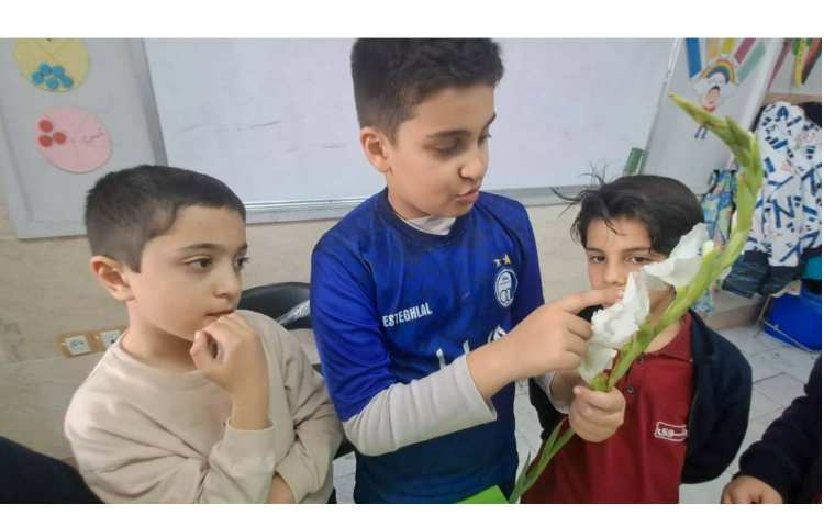 علوم مبحث گیاهان آزمایش و پرسش 7