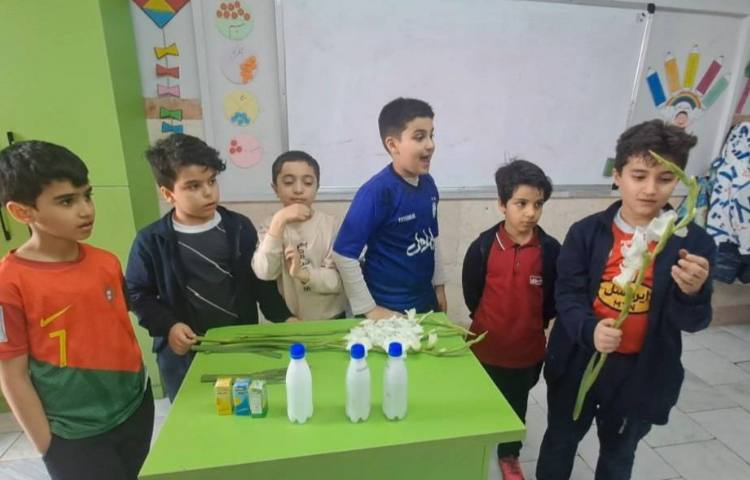 علوم مبحث گیاهان آزمایش و پرسش 8