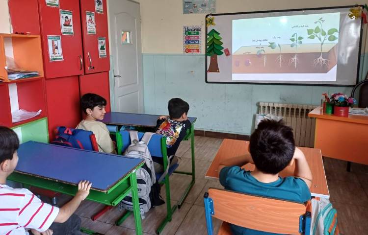 علوم مبحث گیاهان تک لپه و دولپه 10