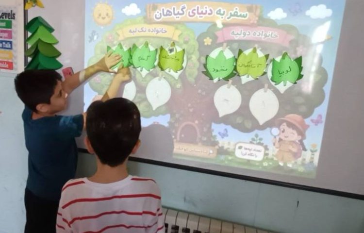 علوم مبحث گیاهان تک لپه و دولپه 3