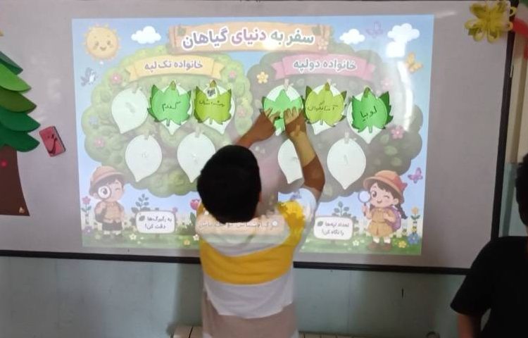 علوم مبحث گیاهان تک لپه و دولپه 4
