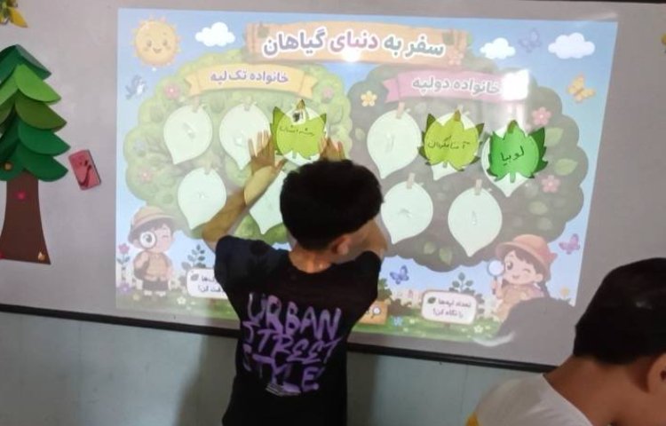 علوم مبحث گیاهان تک لپه و دولپه 5