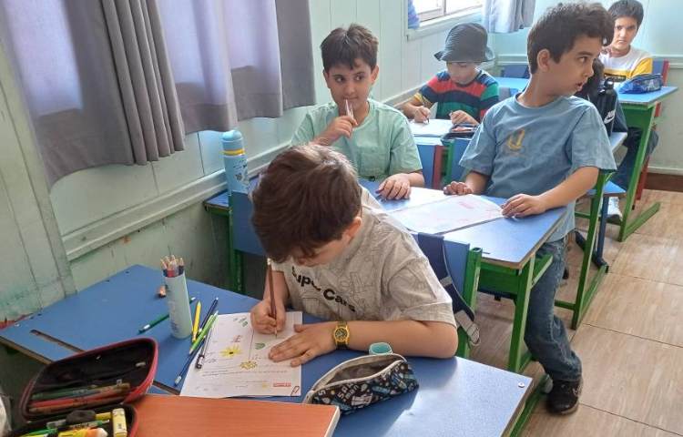 علوم مبحث گیاهان تک لپه و دولپه 6