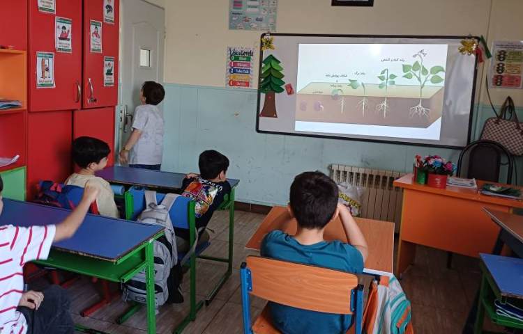 علوم مبحث گیاهان تک لپه و دولپه 9