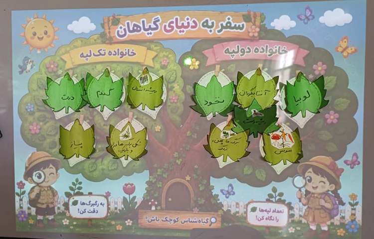 علوم مبحث گیاهان تک لپه و دولپه