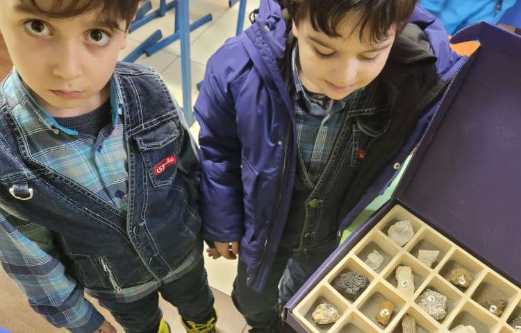 :علوم، مرور گیاهان،فصل سنگ ها 1