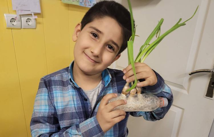 :علوم، مرور گیاهان،فصل سنگ ها 2