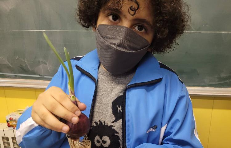 :علوم، مرور گیاهان،فصل سنگ ها 4