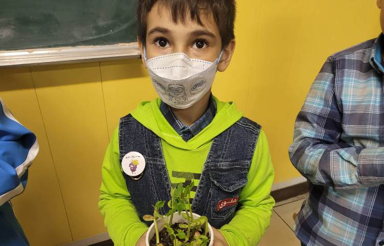 :علوم، مرور گیاهان،فصل سنگ ها 5