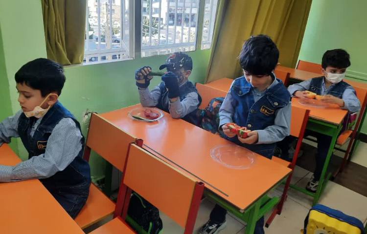 علوم مشاهده میوه ها 1