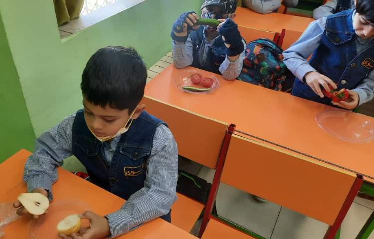 علوم مشاهده میوه ها 2