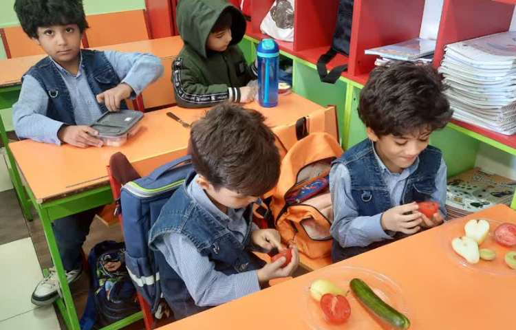 علوم مشاهده میوه ها 3