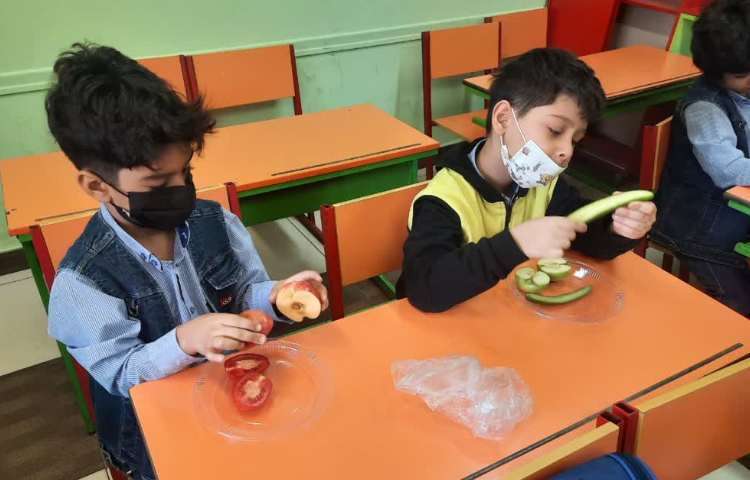 علوم مشاهده میوه ها 4