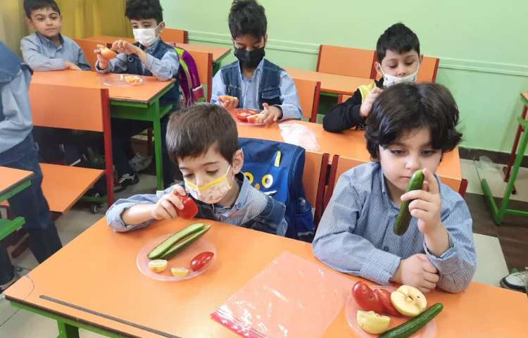 علوم مشاهده میوه ها 5