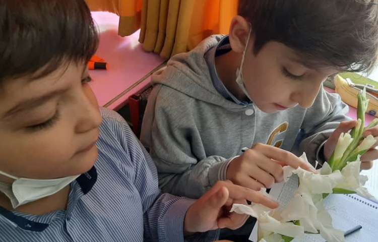 علوم مشاهده‌ی اجزای گل و آوند 3