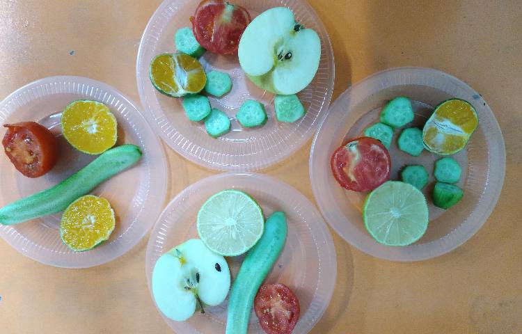 :علوم، مشاهده ی دانه ی میوه های مختلف 1