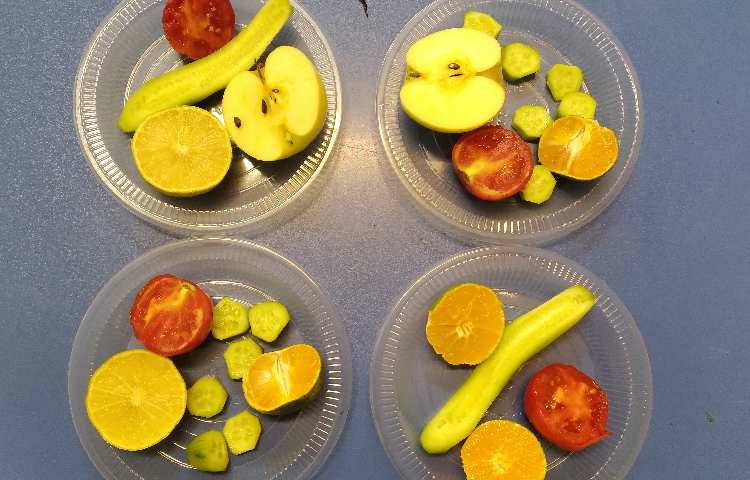 :علوم، مشاهده ی دانه ی میوه های مختلف 2