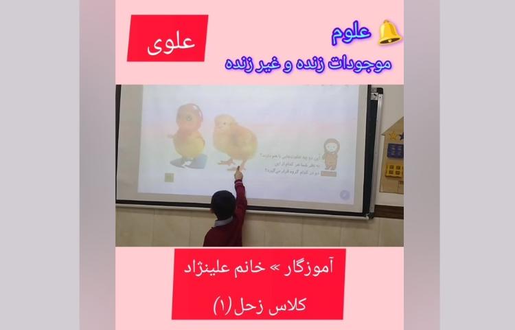 علوم موضوع » جانوران( موجودات زنده و غیر زنده)