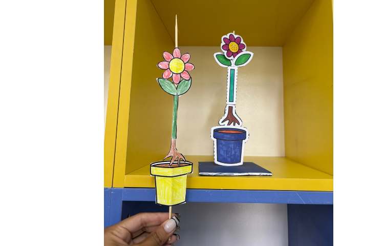 علوم موضوع : جورچین گیاه 3