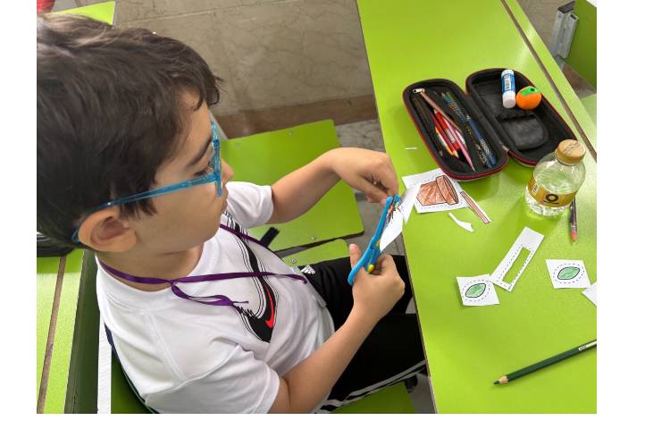 علوم موضوع : کاردستی گیاه 2