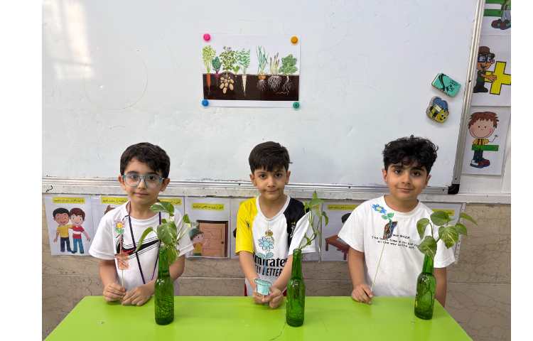 علوم موضوع : کاردستی گیاه 5