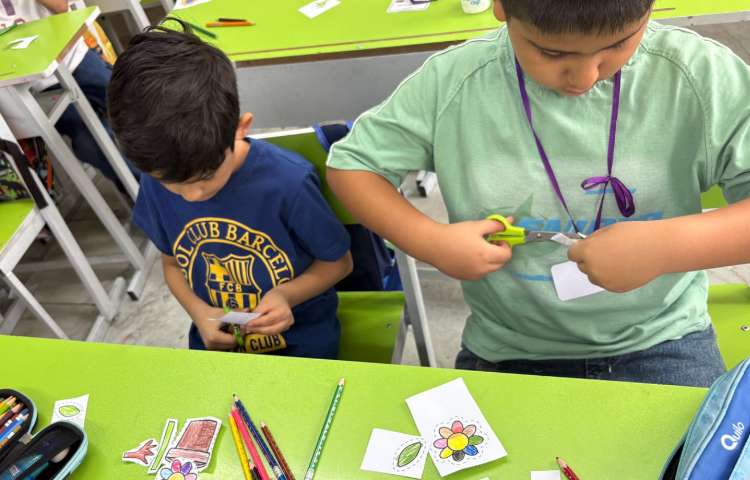 علوم موضوع : کاردستی گیاه 8