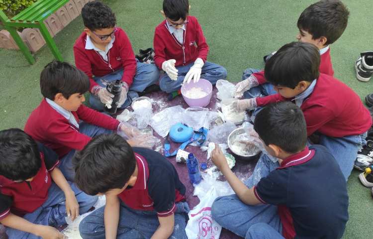 علوم نانوا های کوچک سرگذشت نان 1