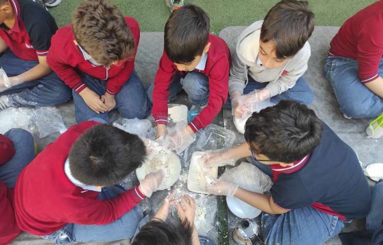 علوم نانوا های کوچک سرگذشت نان 2