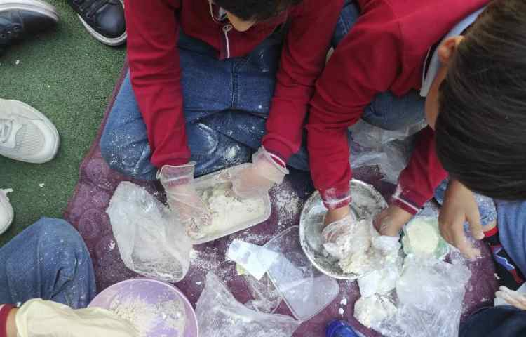 علوم نانوا های کوچک سرگذشت نان 5