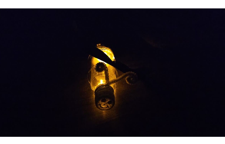 علوم / نور درست کردن کرم شب تاب 2