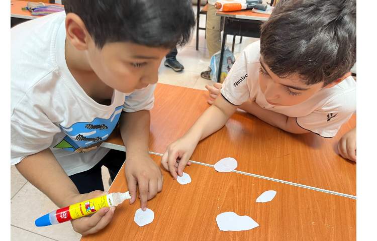 علوم : هرم غذایی 2