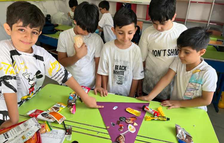 علوم: هرم غذایی