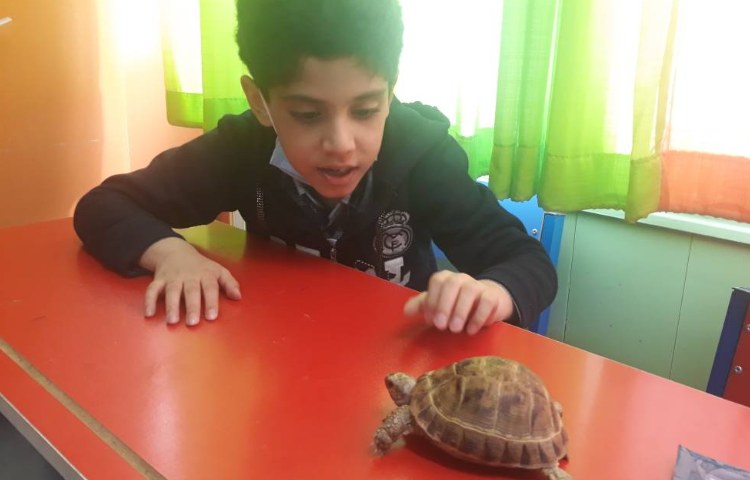 :علوم، ویژگی حیوانات، کلاس گیلاس 3