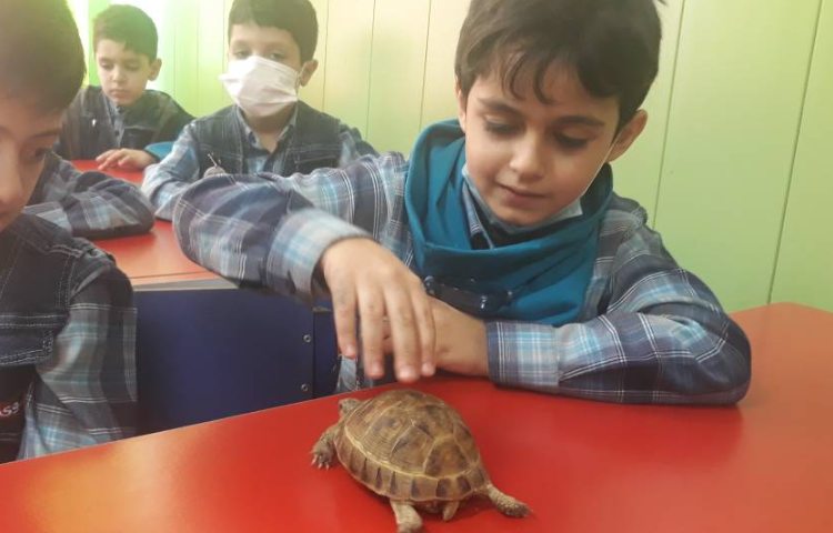 :علوم، ویژگی حیوانات، کلاس گیلاس 4