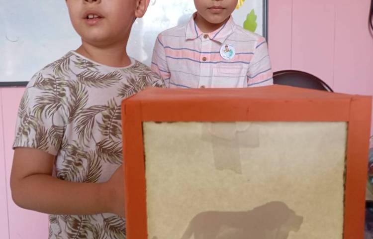 علوم چشمه های نور وتشکیل سایه 2