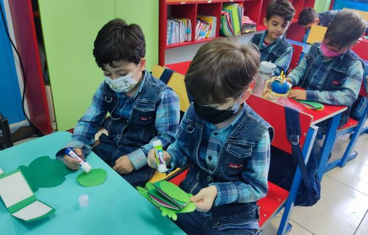 :علوم، کاردستی مربوط به مراحل رشد قورباغه 5