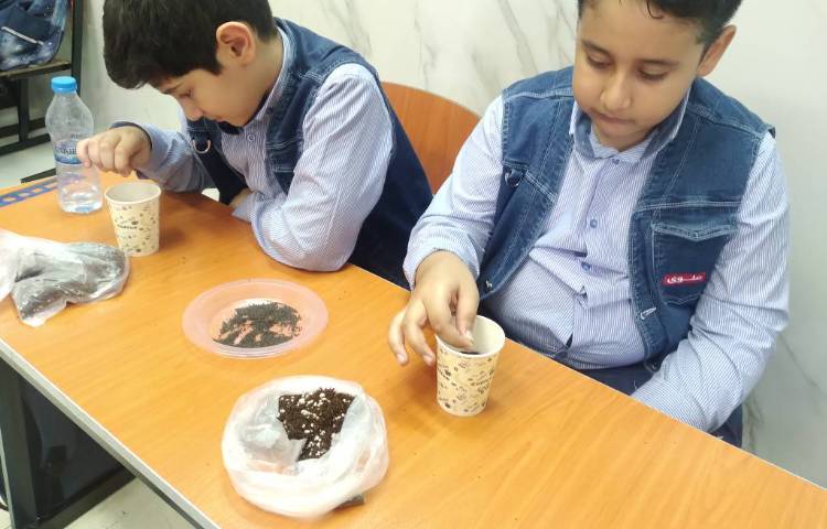علوم : کاشت بذر ریحان 1