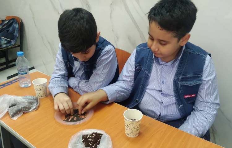علوم : کاشت بذر ریحان 2